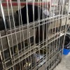 盈彩美居吳先生17樓更換防盜網 FDW-008