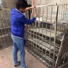 廣州出租屋防盜門和防盜網安裝工程 FDW-011