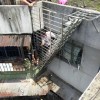 海珠區梁先生天臺搭建鋼梯 FS-036