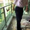 西門口廣場(chǎng)方先生陽臺(tái)玻璃欄桿 LG-008