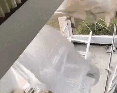 超強“山竹”臺風過后家里的門窗還好嗎？別讓劣質門窗再“闖禍”了！