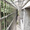 農林上路余小姐不銹鋼防盜網 FDW-031
