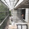 農林上路余小姐不銹鋼防盜網 FDW-031