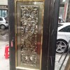 彩色不銹鋼防盜門 DM-012