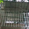 不銹鋼防盜網加雨棚 YP-004