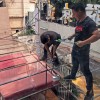 華僑新村徐先生不銹鋼雨棚 YP-035