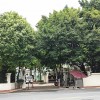 新世界花園不銹鋼噴漆大門  DM-005