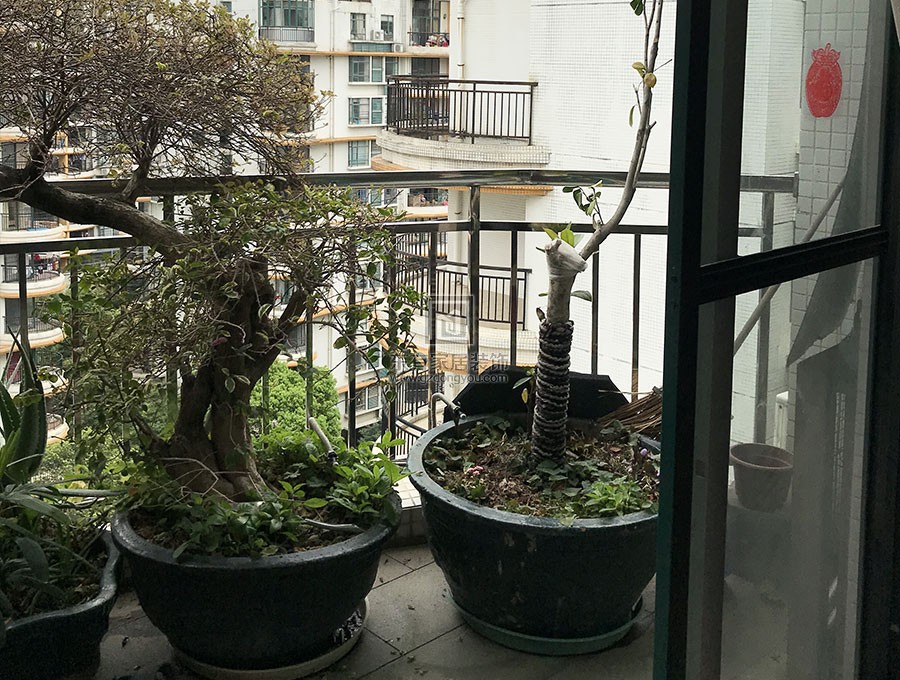 云峰社區(qū)不銹鋼陽(yáng)臺(tái)護(hù)欄、雨棚 LG-088