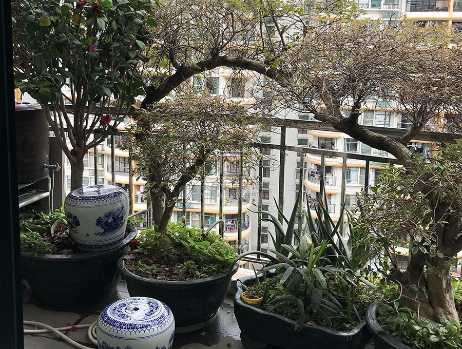 云峰社區(qū)不銹鋼陽(yáng)臺(tái)護(hù)欄、雨棚 LG-088