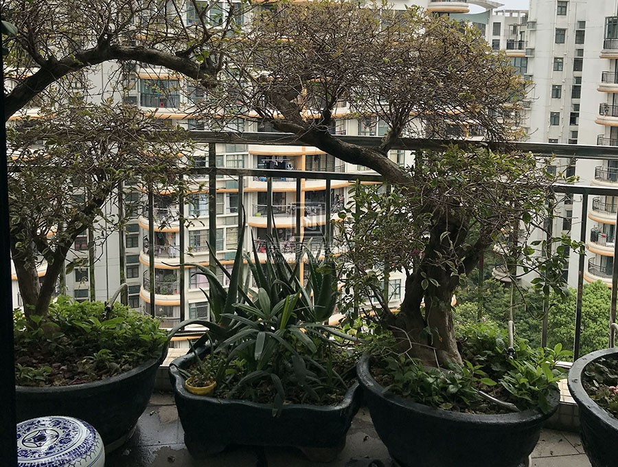 云峰社區(qū)不銹鋼陽(yáng)臺(tái)護(hù)欄、雨棚 LG-088