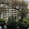 云峰社區(qū)不銹鋼陽(yáng)臺(tái)護(hù)欄、雨棚 LG-088