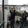 云峰社區(qū)不銹鋼陽(yáng)臺(tái)護(hù)欄、雨棚 LG-088