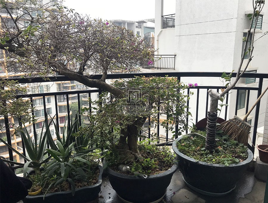 云峰社區(qū)鐵藝陽臺(tái)欄桿 LG-089