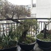 云峰社區(qū)鐵藝陽臺(tái)欄桿 LG-089