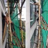 錦繡香江布查特官邸別墅全屋門窗