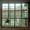 鳳凰城別墅全屋定制斷橋系統(tǒng)門窗