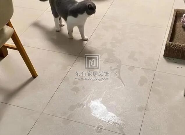 QQ截圖20230427161551